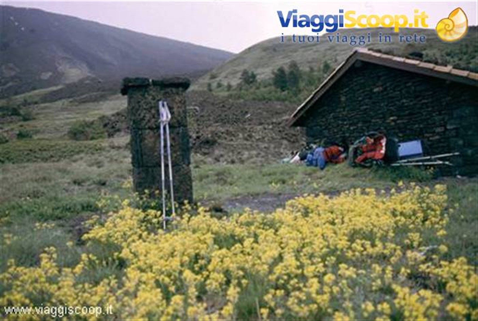 Fiori al Rifugio Poggio La Caccia