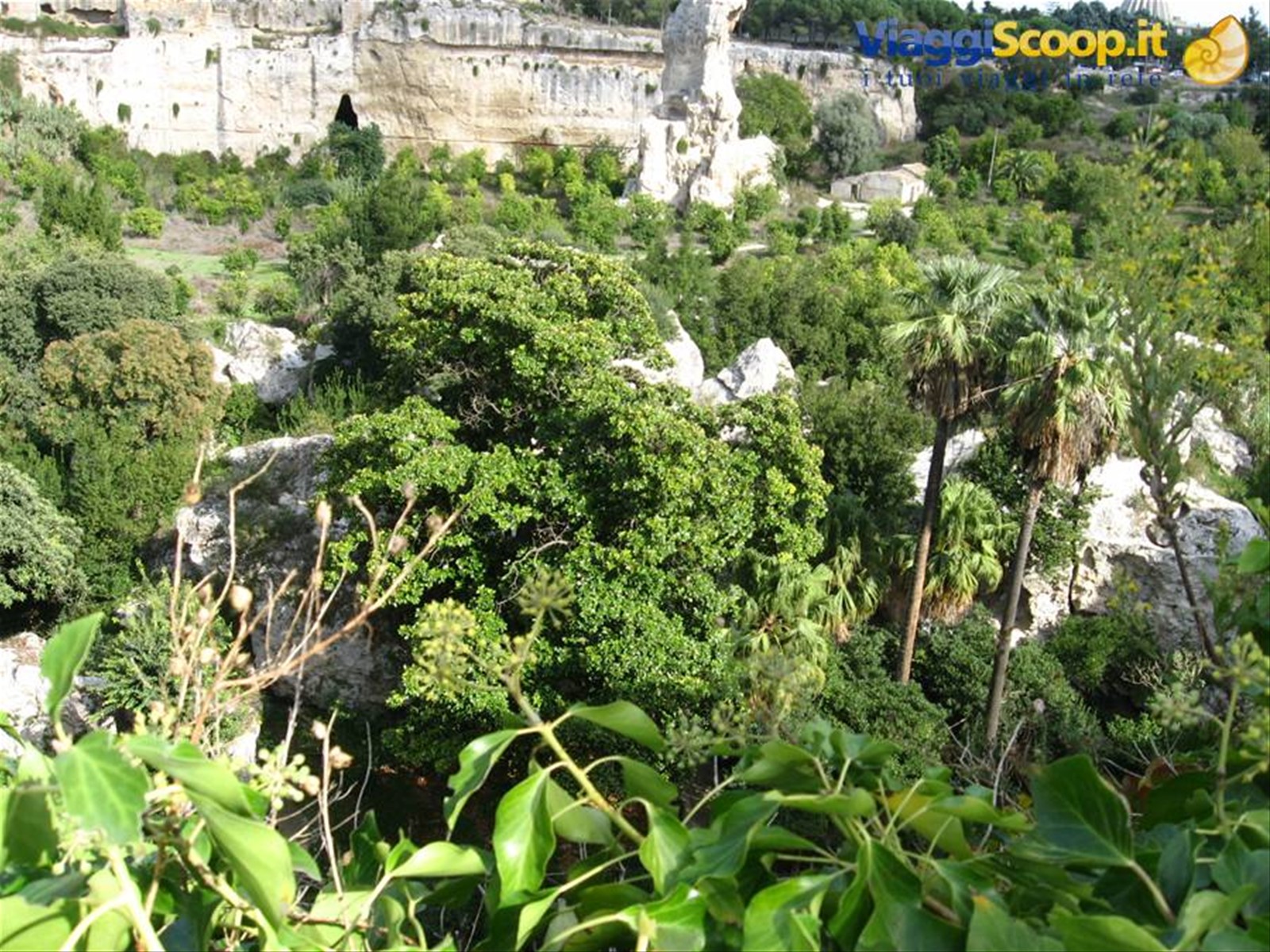 Siracusa : le Latomie