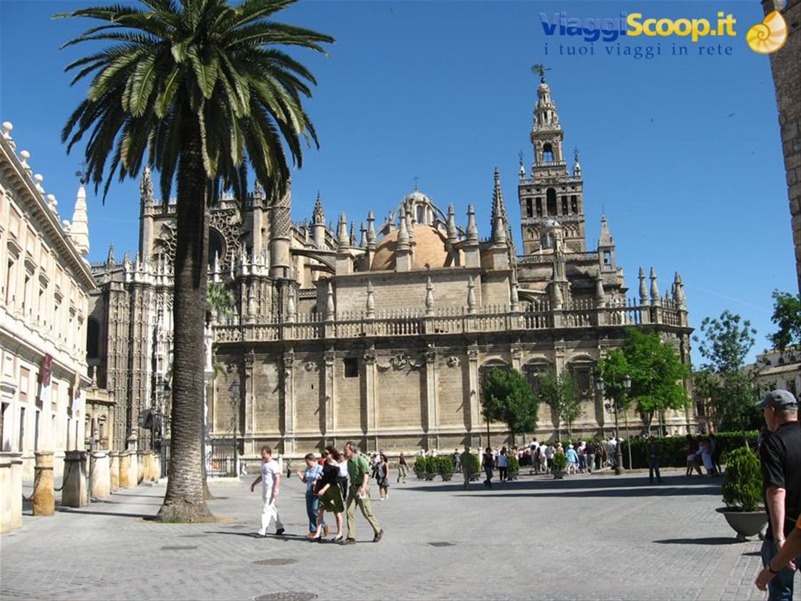 la cattedrale