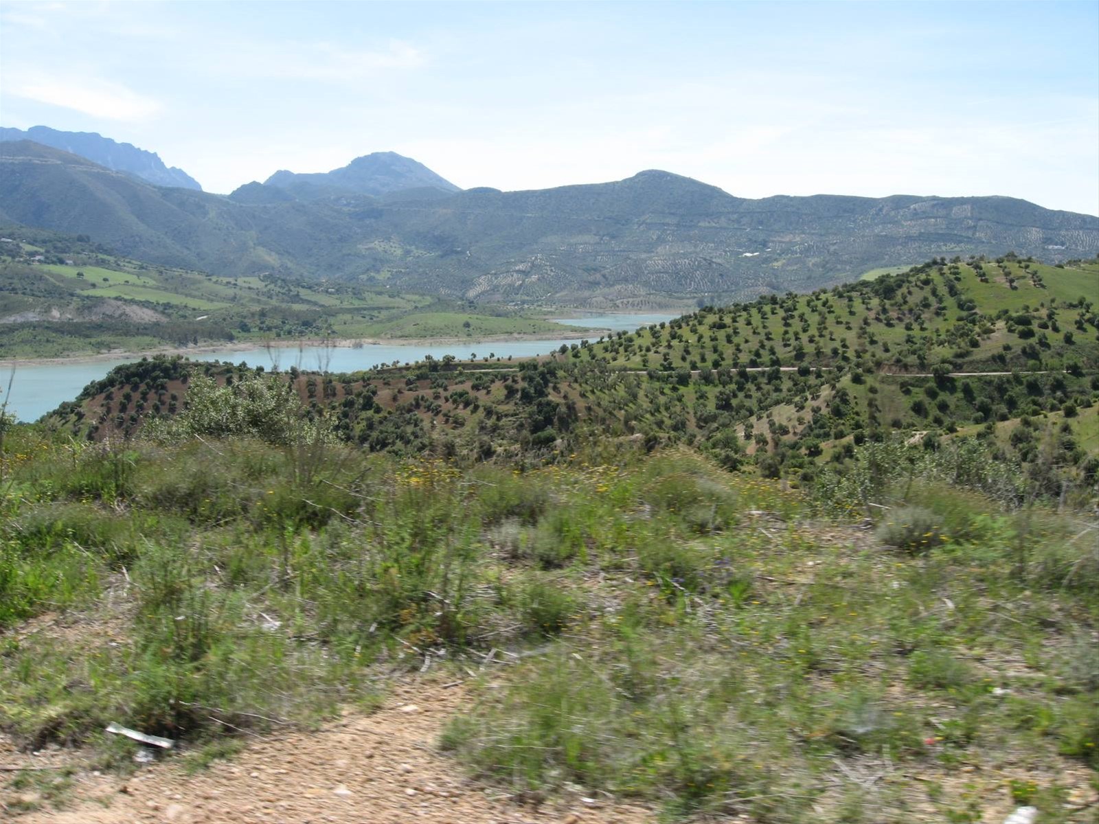 Sierra de Ronda