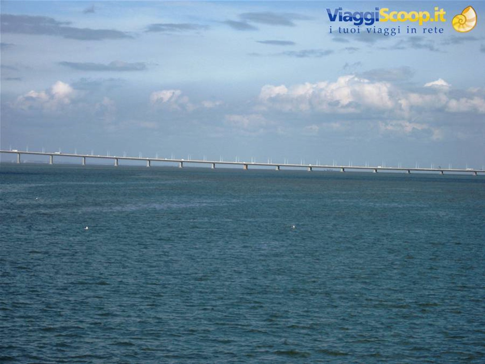 Ponte Vasco de Gama