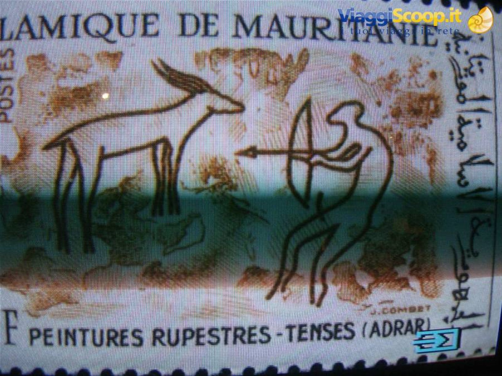 Museo Terra Amata