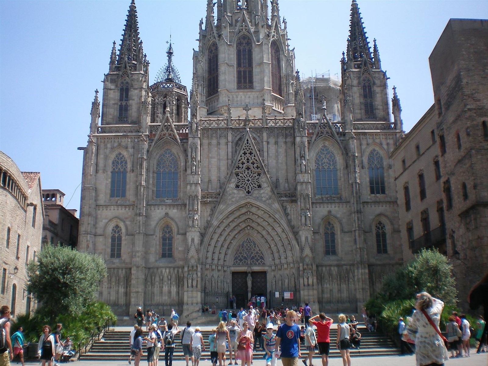 catedrale