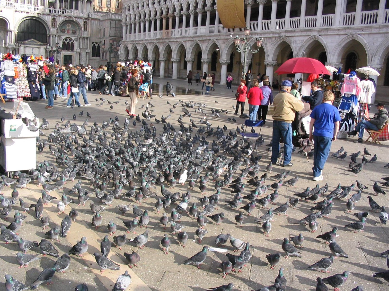 Foto di viaggio in ITALIA