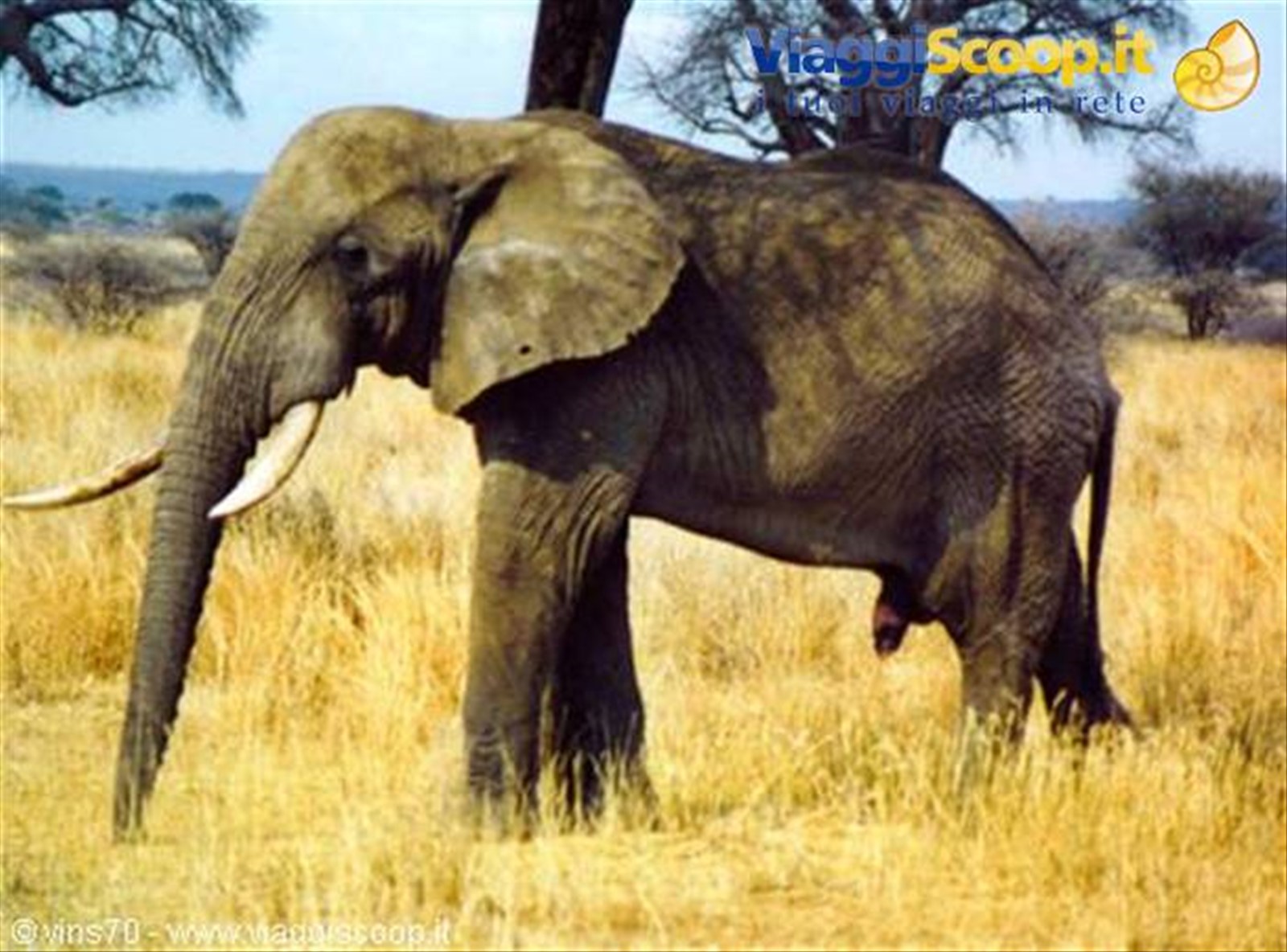 Foto di viaggio in TANZANIA