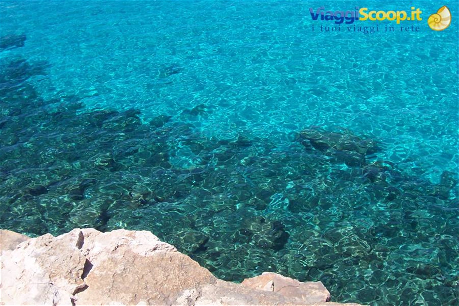 Foto di viaggio in SPAGNA