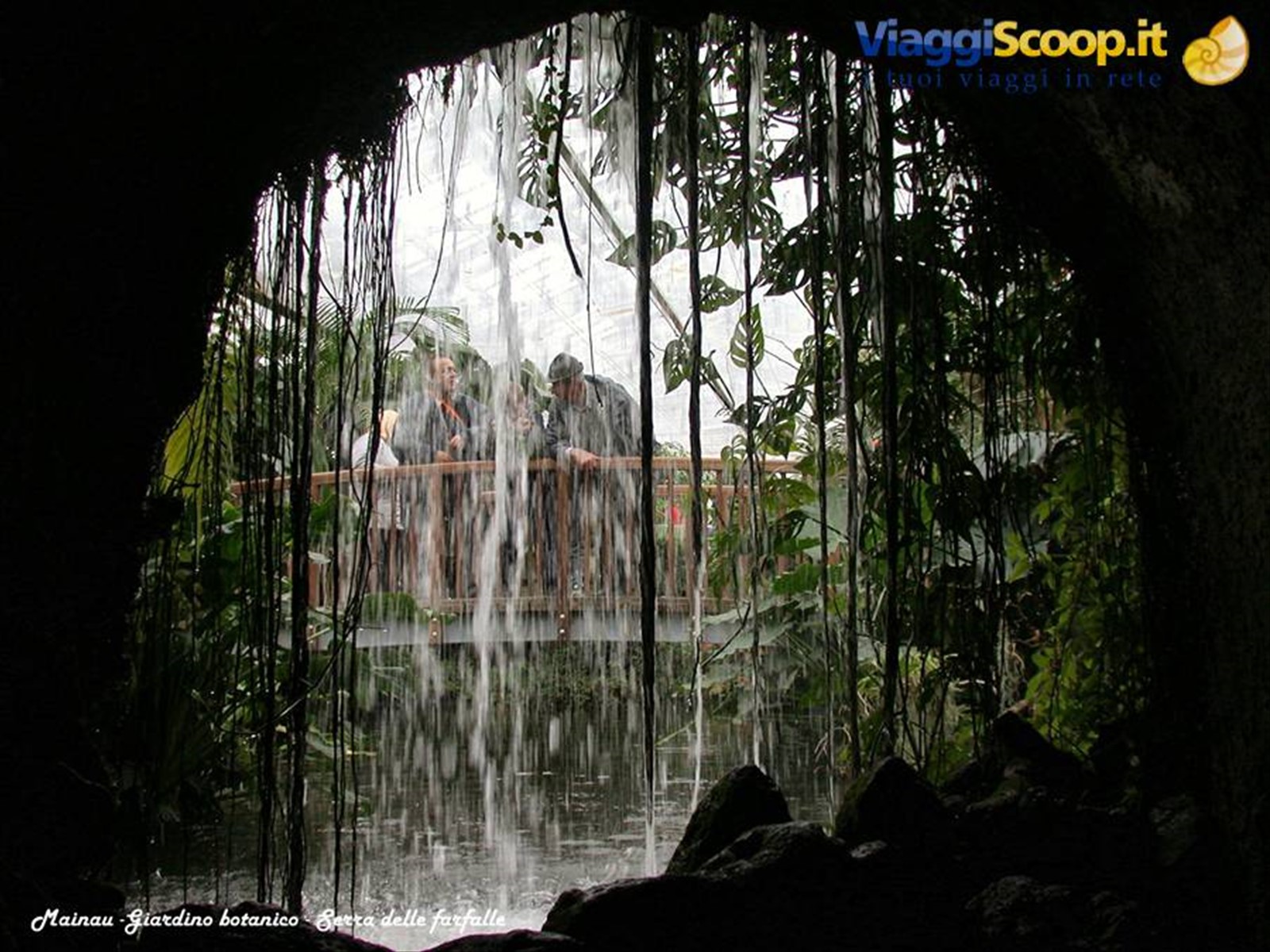 Mainau - Serra delle farfalle