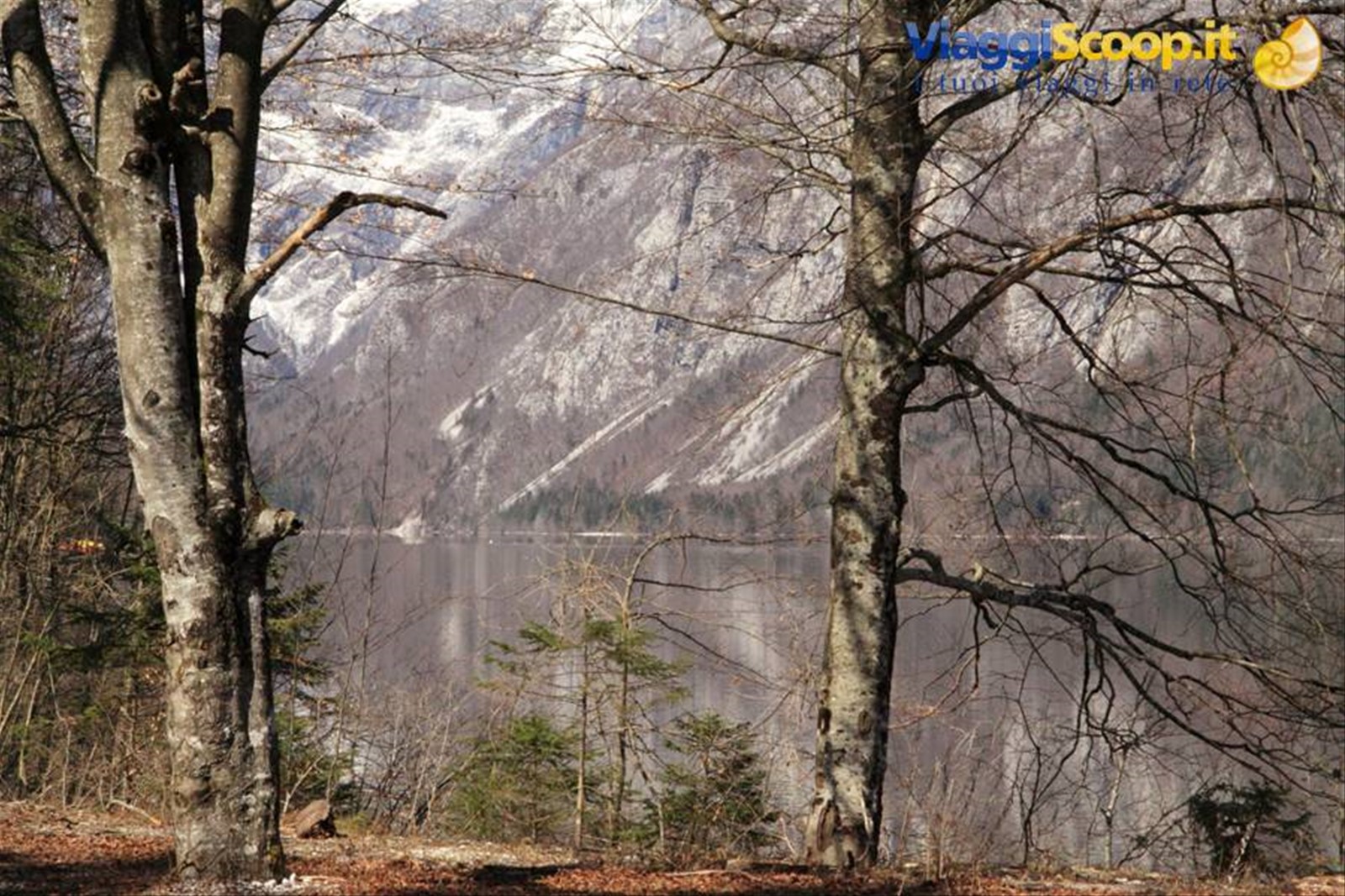 Lago di Bohinj