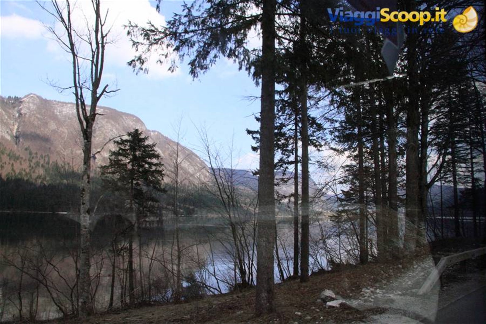 Lago di Bohinj