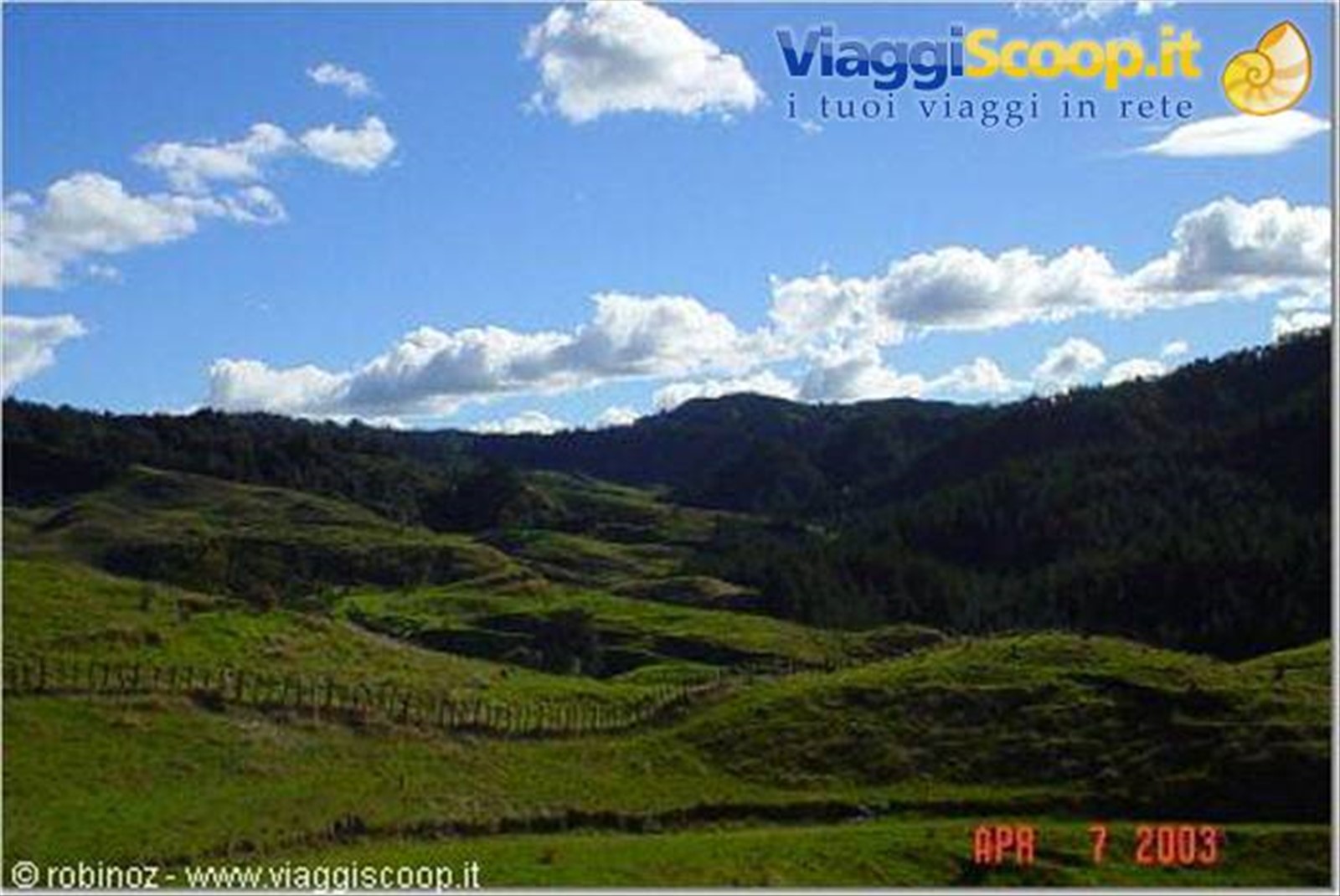 Foto di viaggio in NUOVA ZELANDA