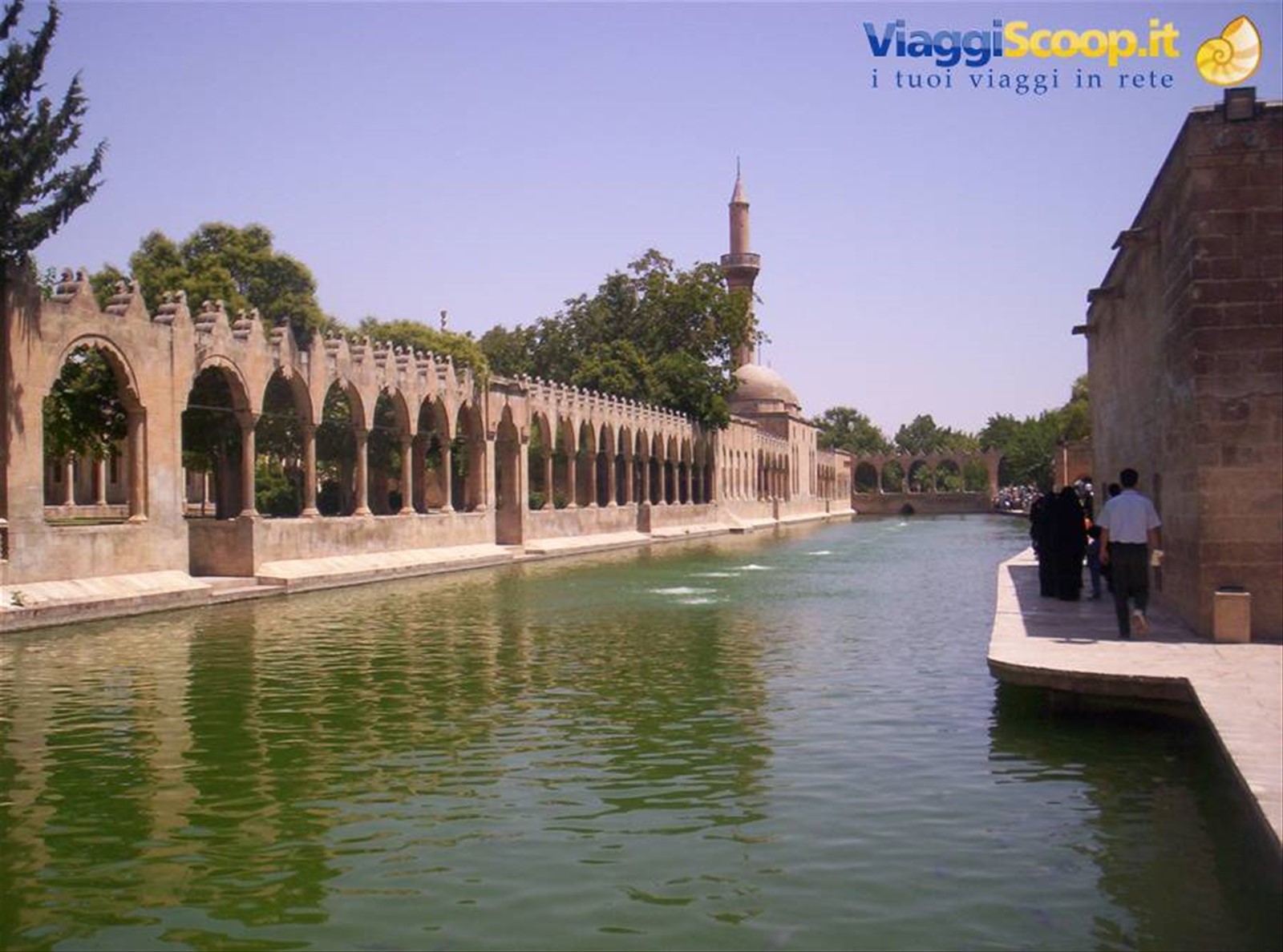 Sanli Urfa, la vasca con le carpe sacre