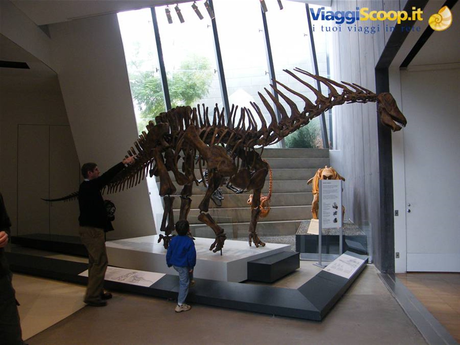 Museum of Melbourne