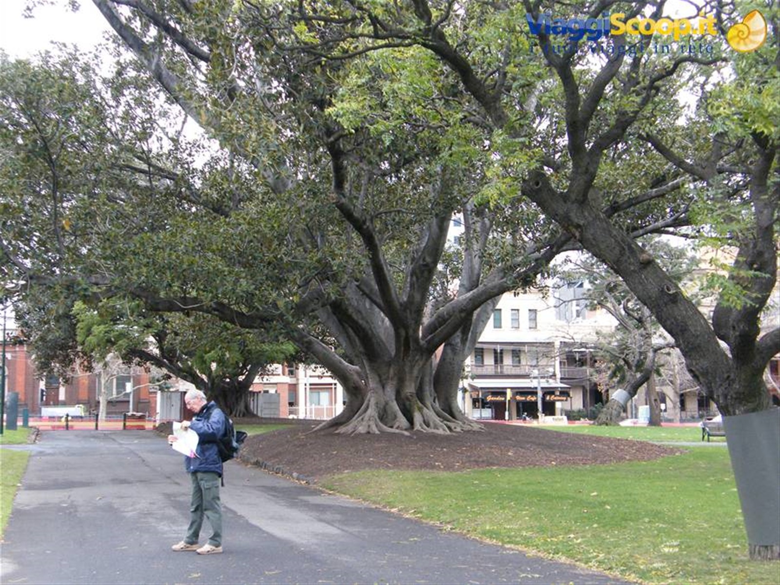 Carlton Garden