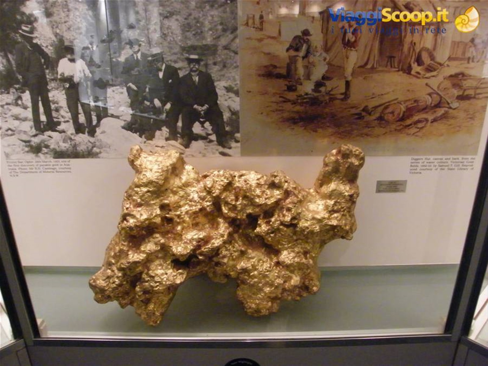 Australian Museum Pepita d'oro