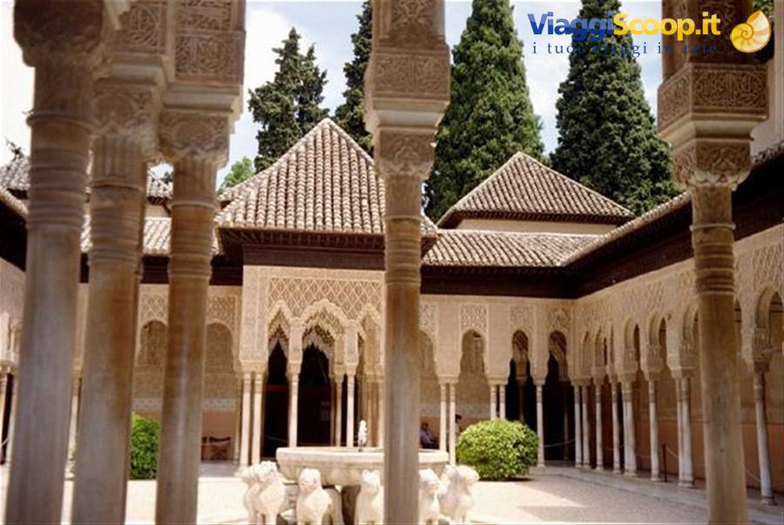 Il Patio de los Leones