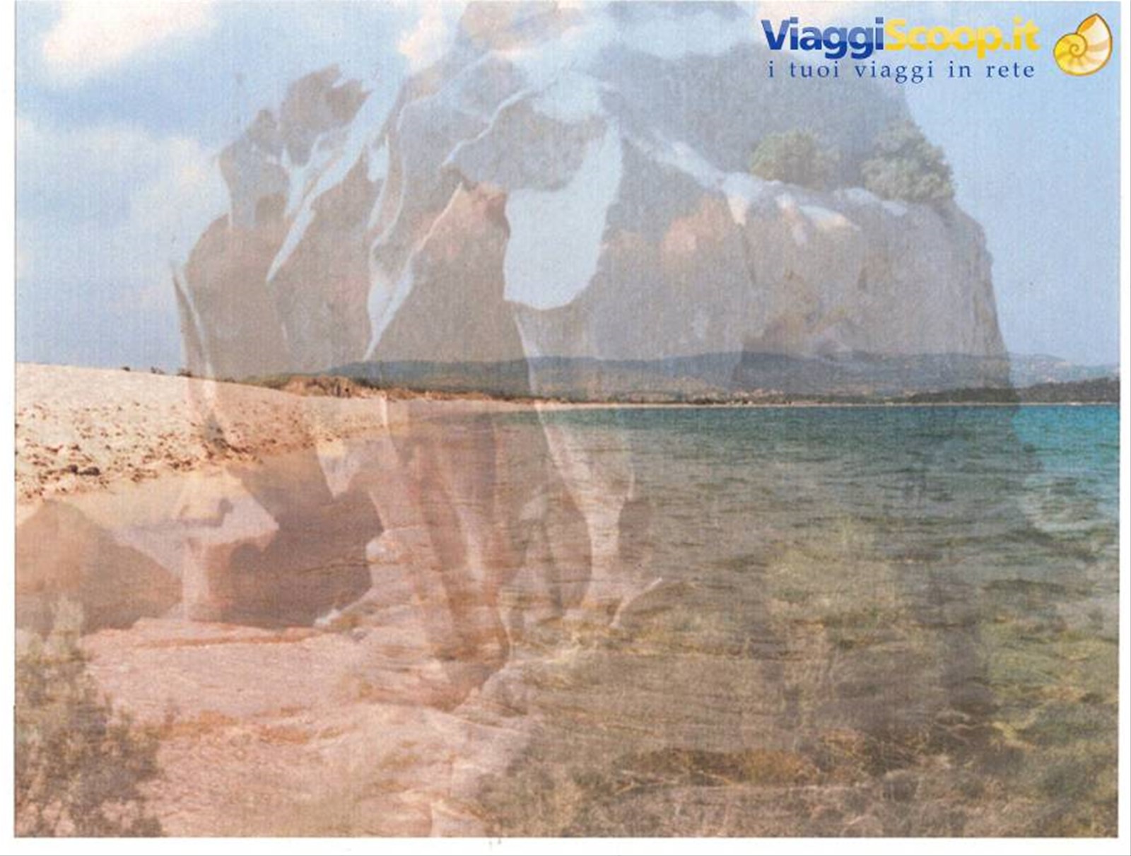 capod'orso nel suo mare