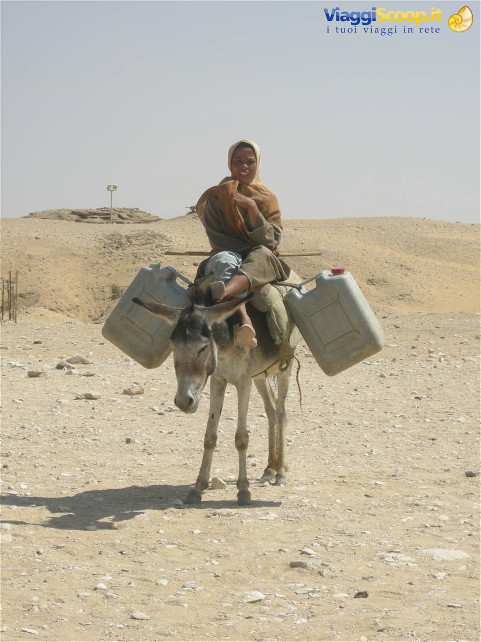 Sakkara
