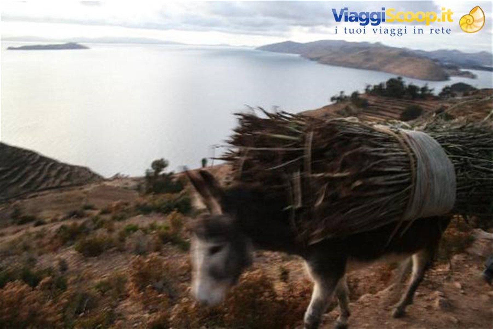 Lago Titicaca