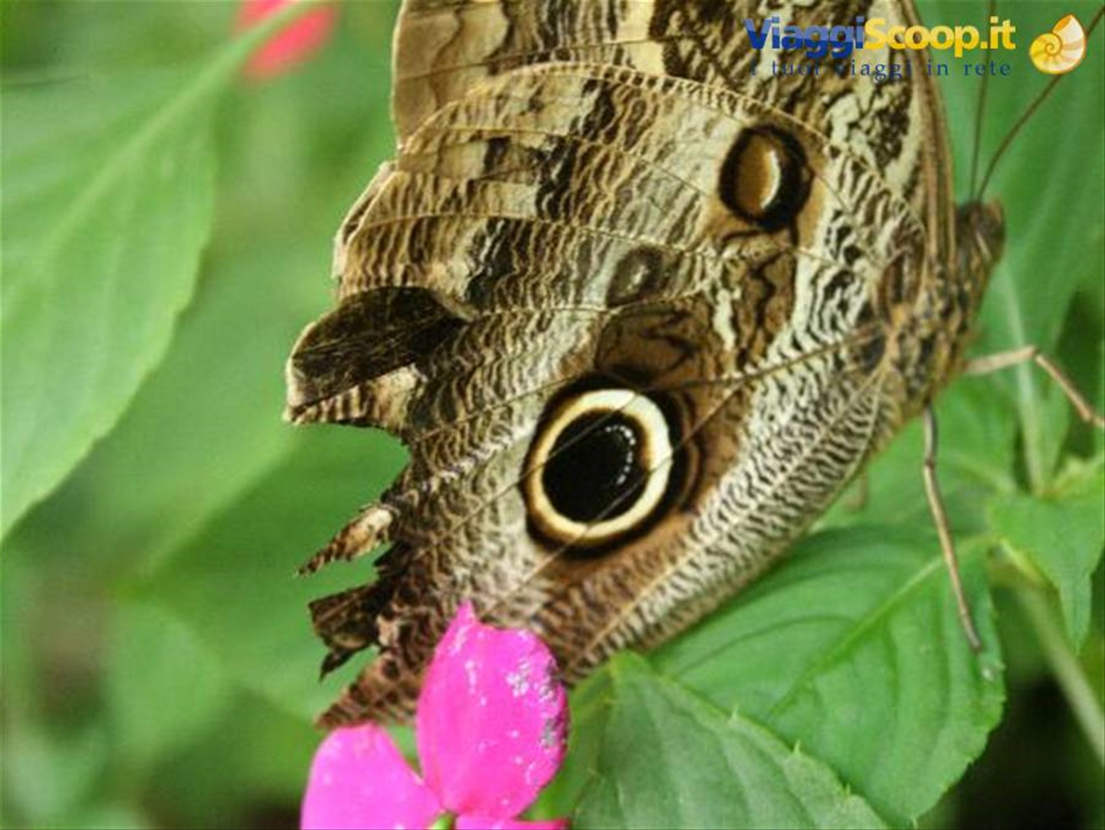 Foto di viaggio in BOLIVIA