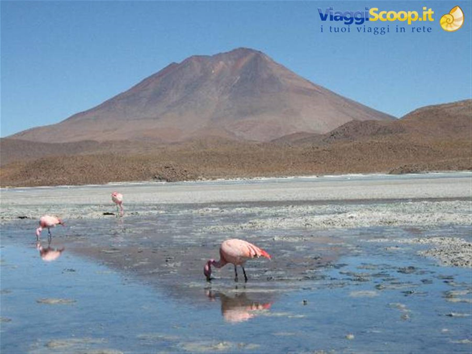 Lagune