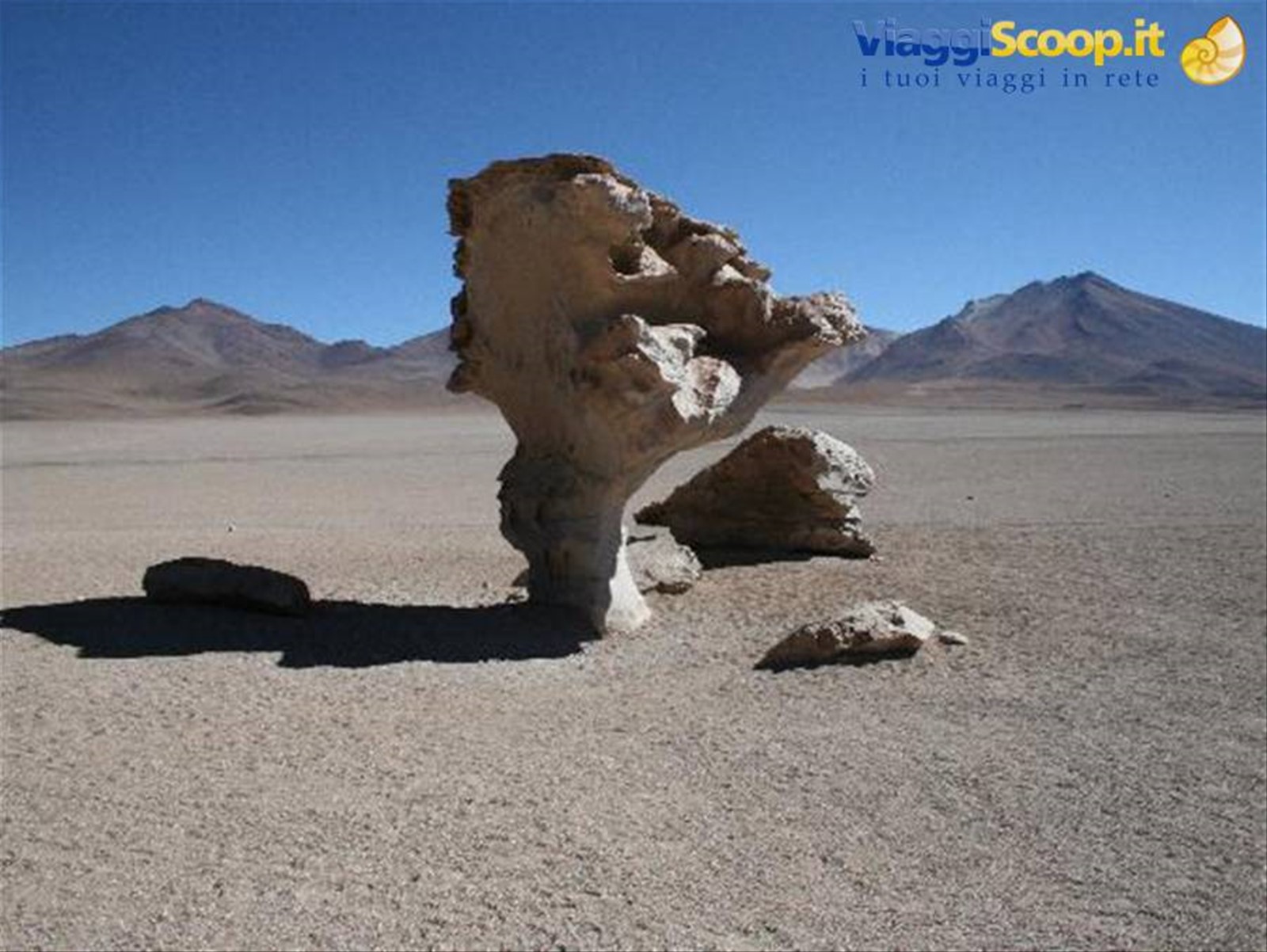 Arbol de piedra