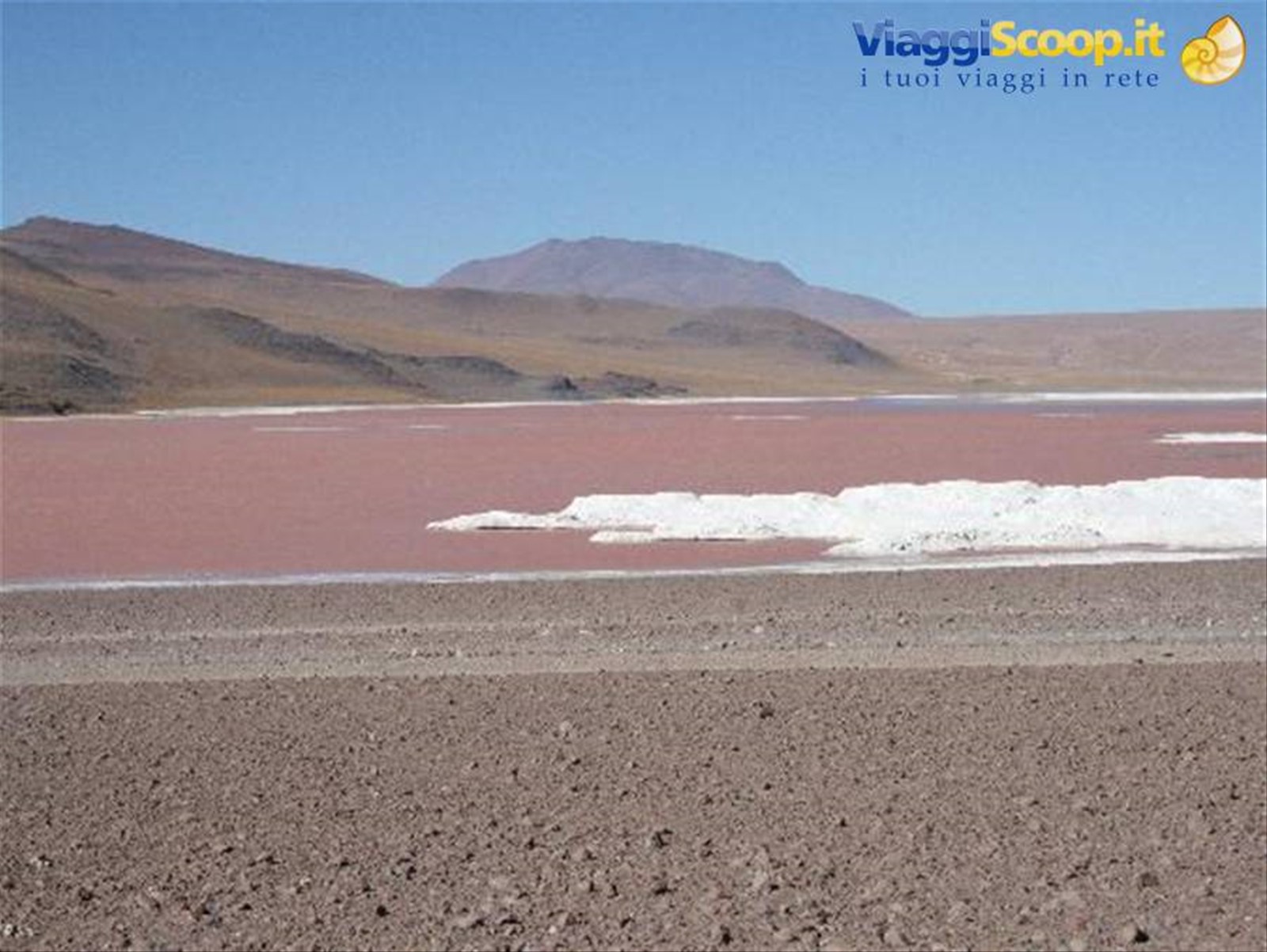 Laguna Colorada