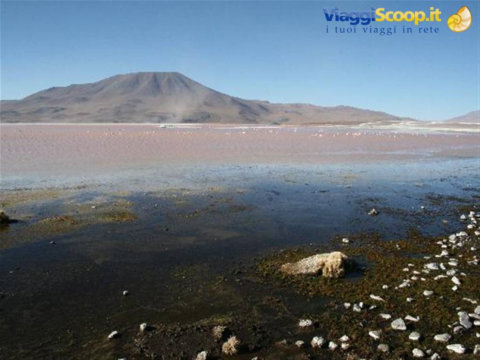 Laguna Colorada
