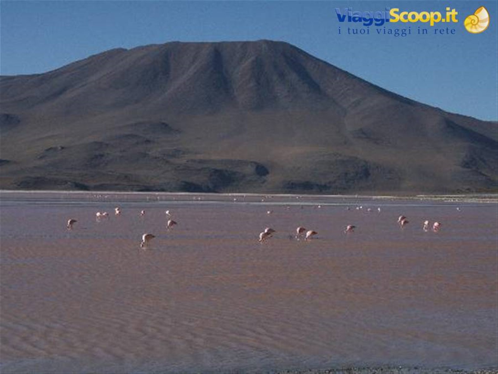 Laguna Colorada