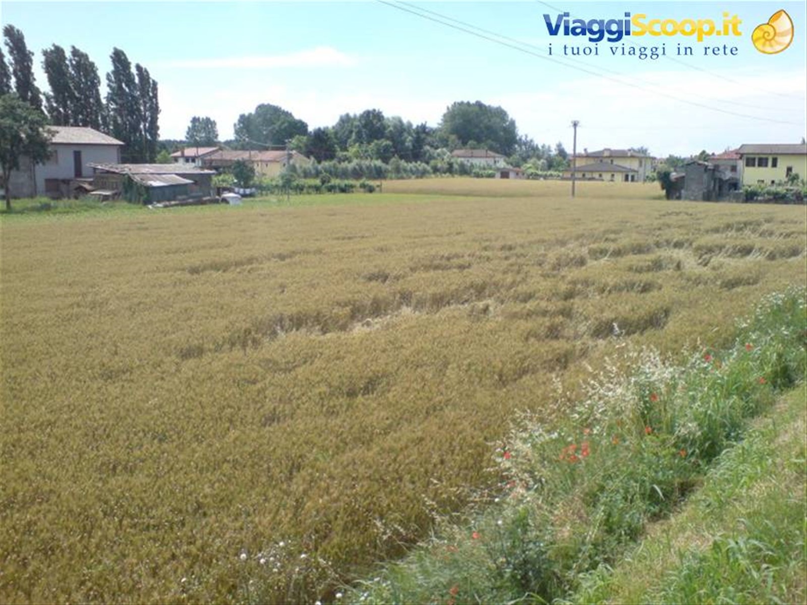 Foto di viaggio in ITALIA