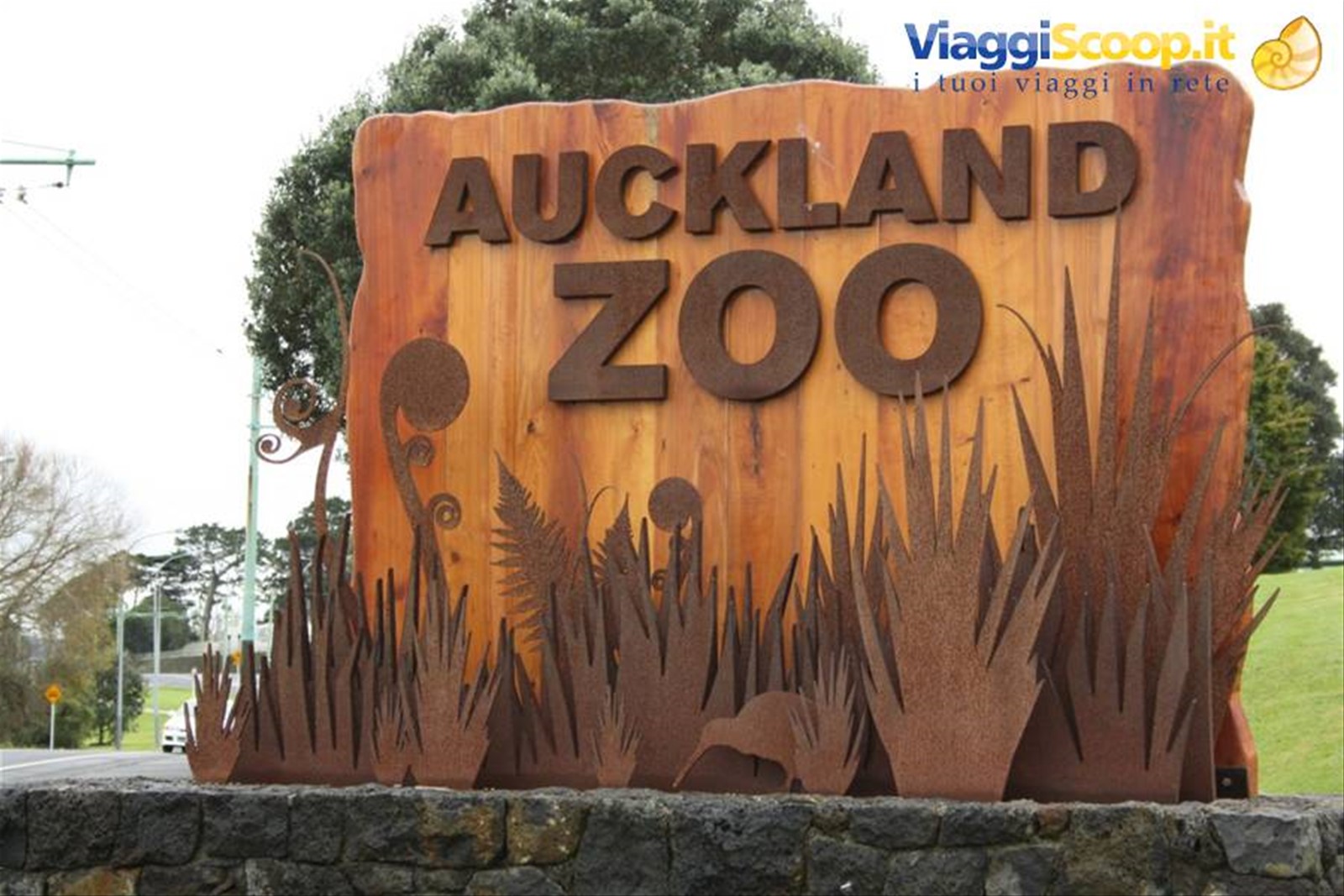 Auckland zoo