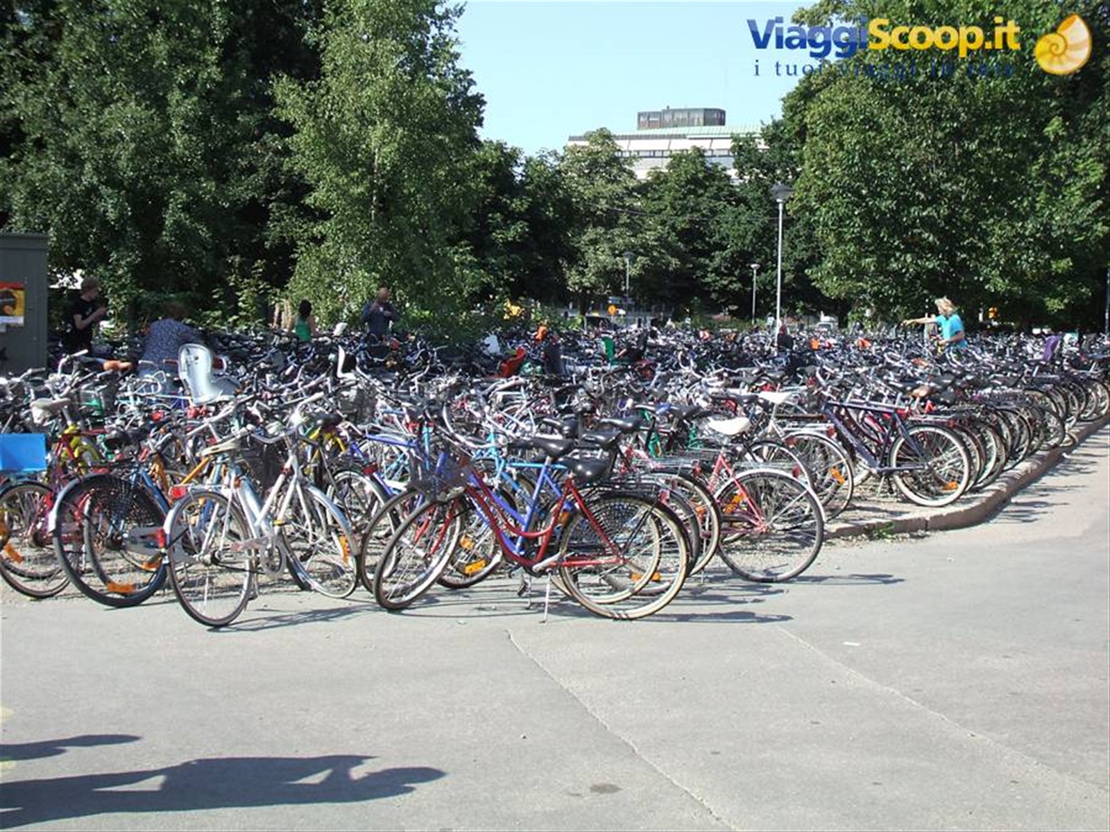 Uppsala, la vera ecologià è lì!