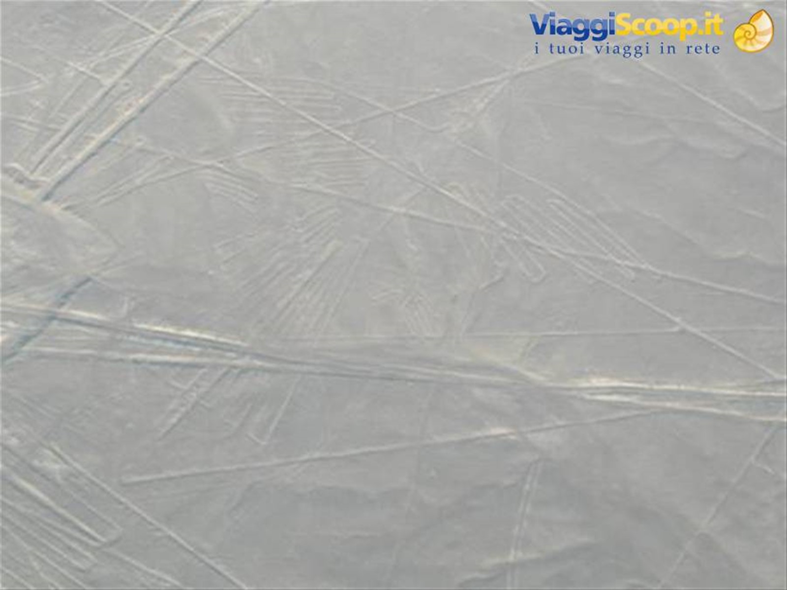 Nasca Linee Il Condor