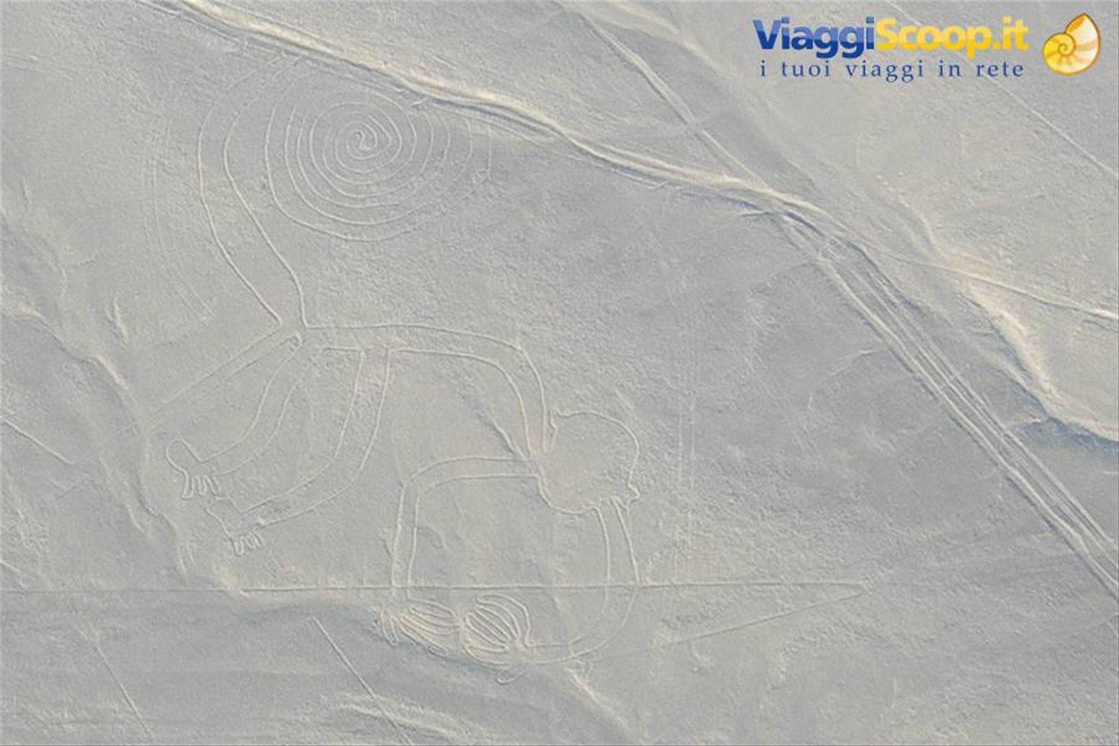 Nazca lines scimmia