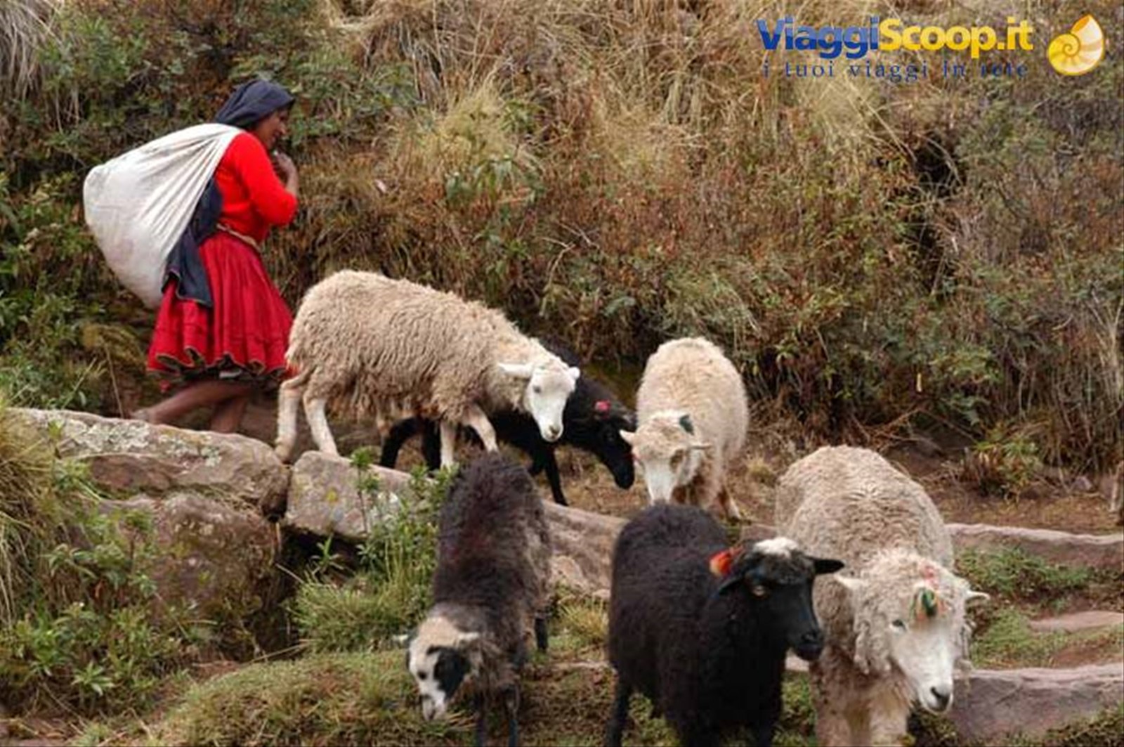 Foto di viaggio in PERU'