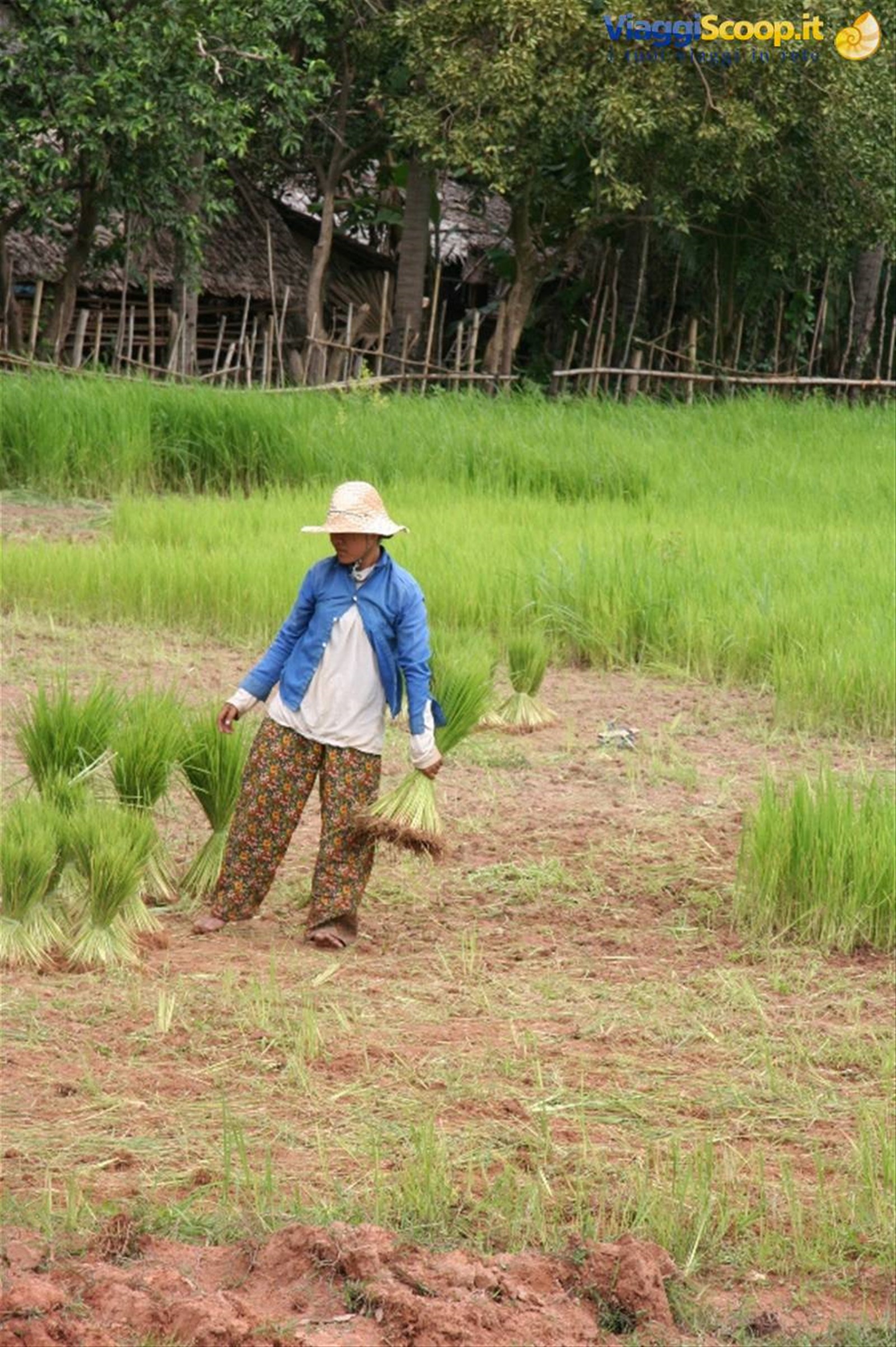 Foto di viaggio in CAMBOGIA