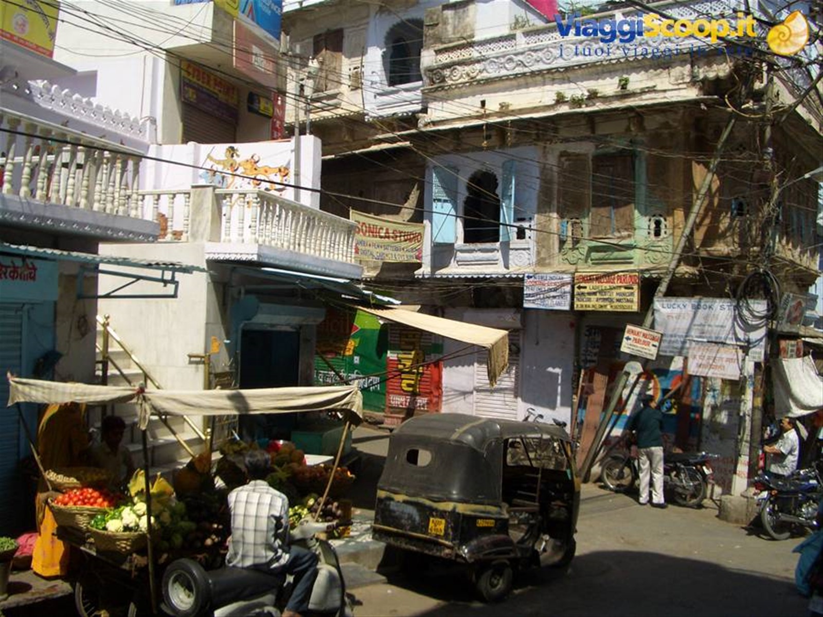 Foto di viaggio in INDIA