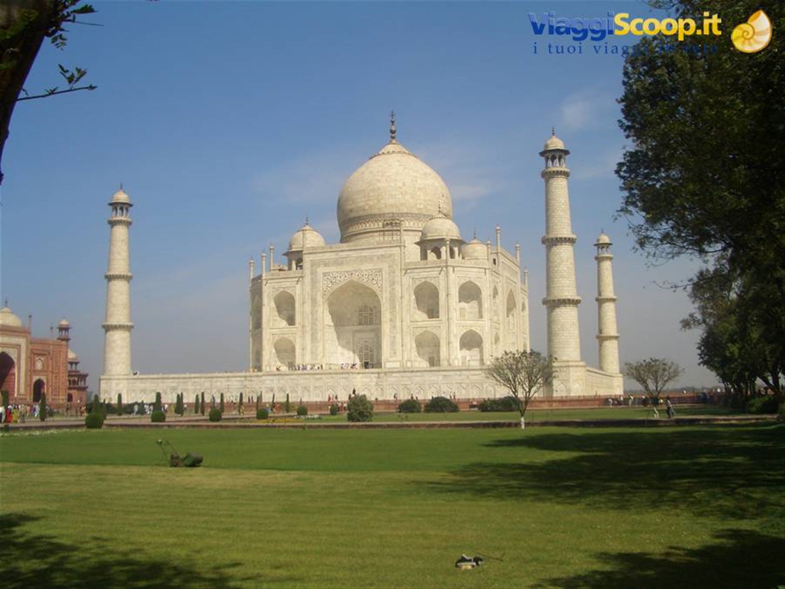 Foto di viaggio in INDIA