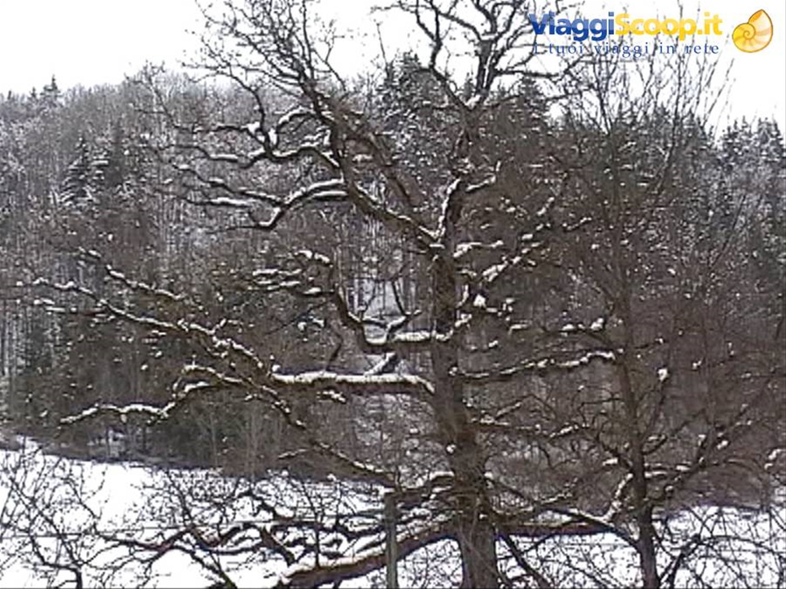 L'ultima neve di primavera?
