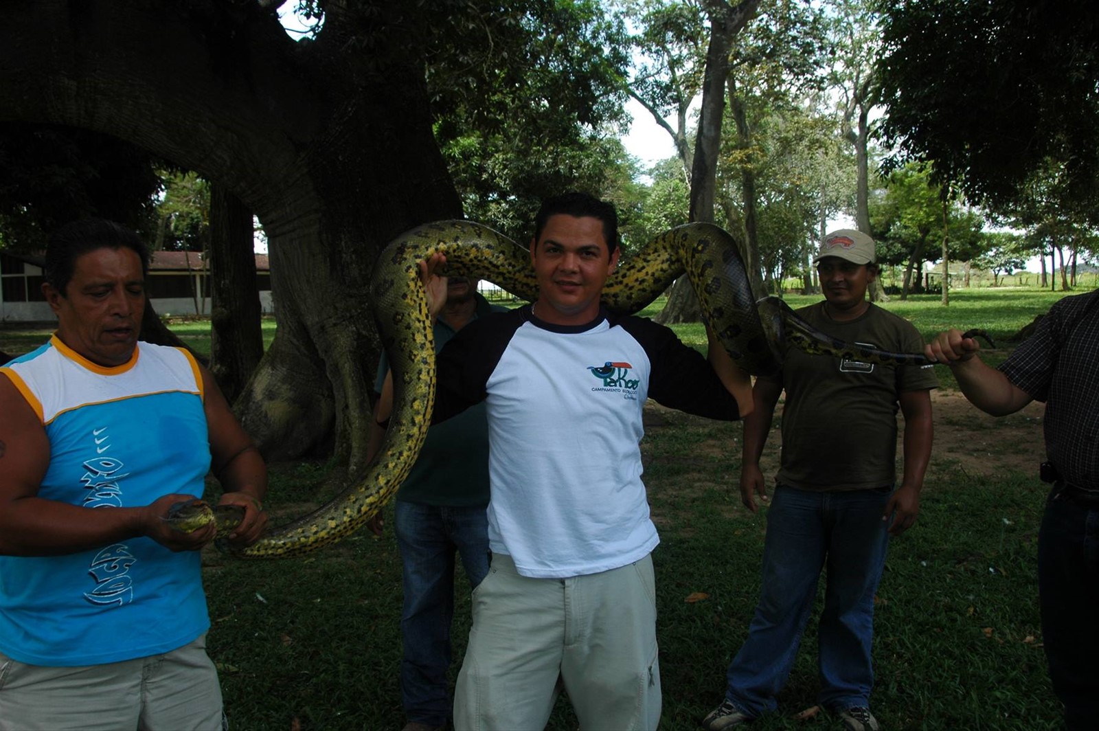 ecco finalmente l' Anaconda