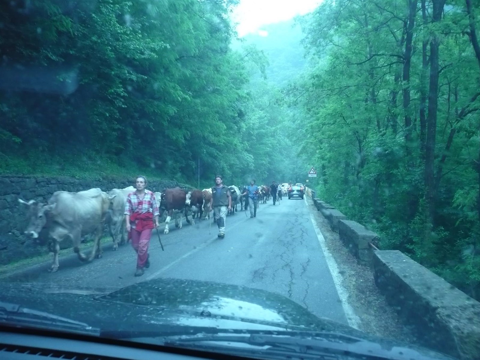 comincia la transumanza