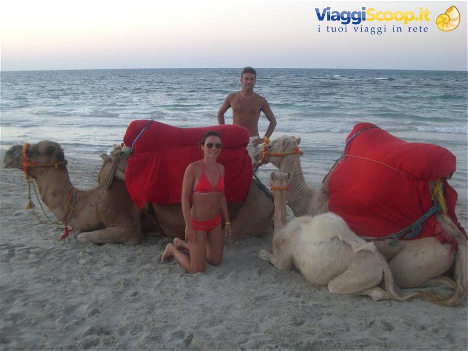 Foto di viaggio in TUNISIA