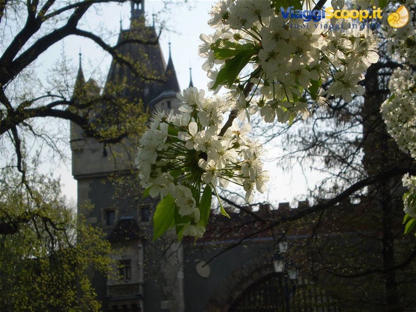castello di budapest