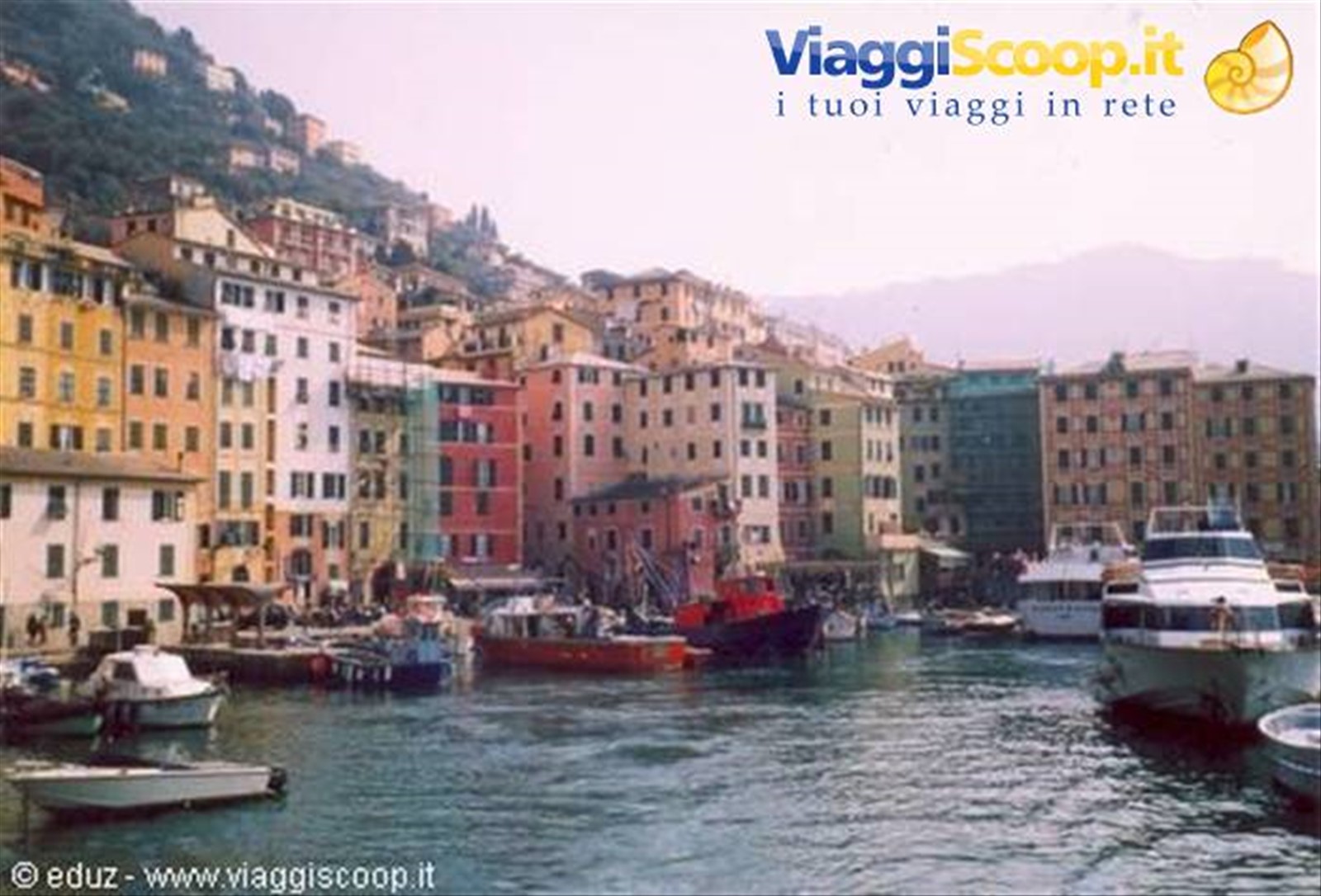 Camogli - Le tipiche case colorate