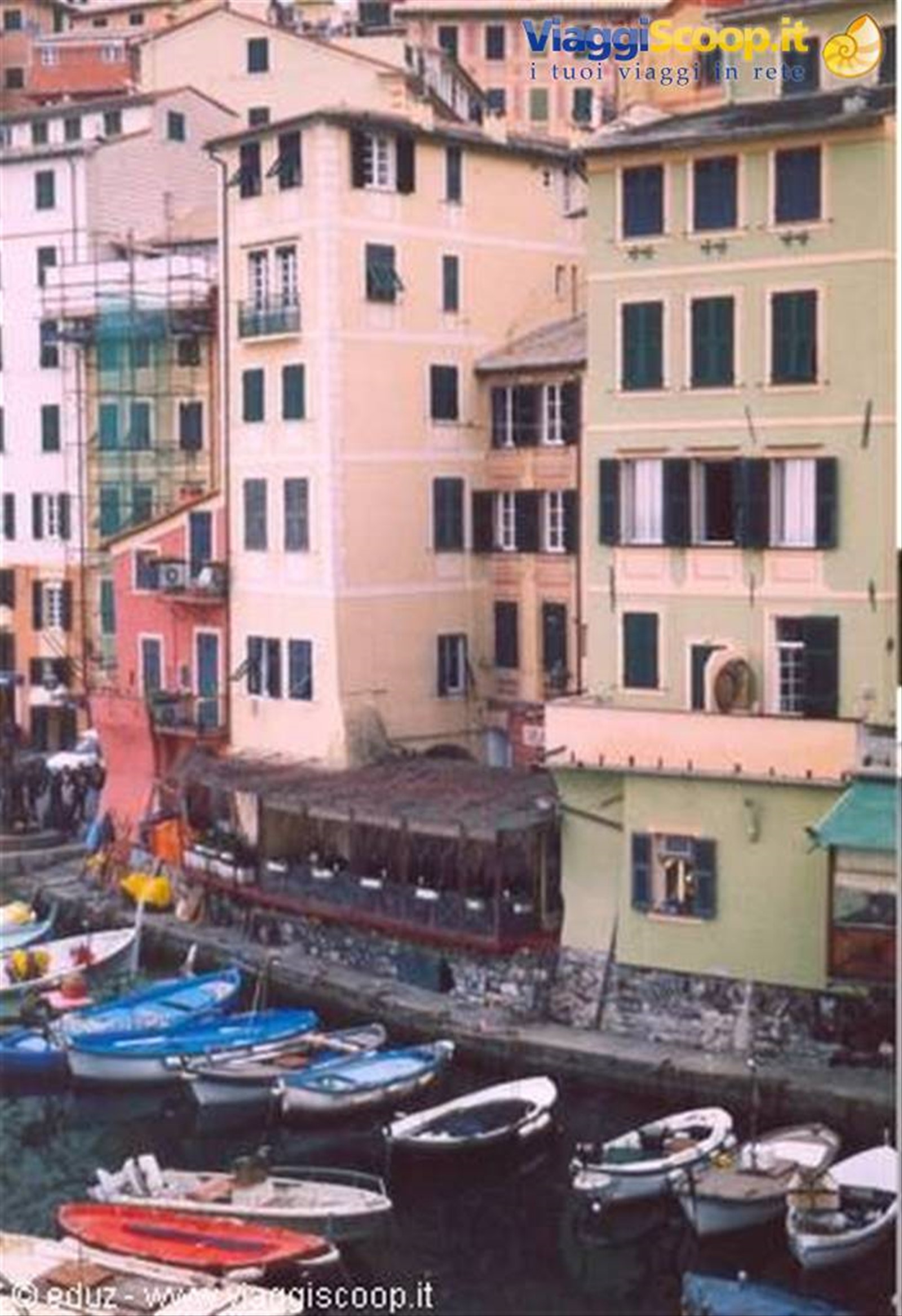 Camogli - Le tipiche case colorate