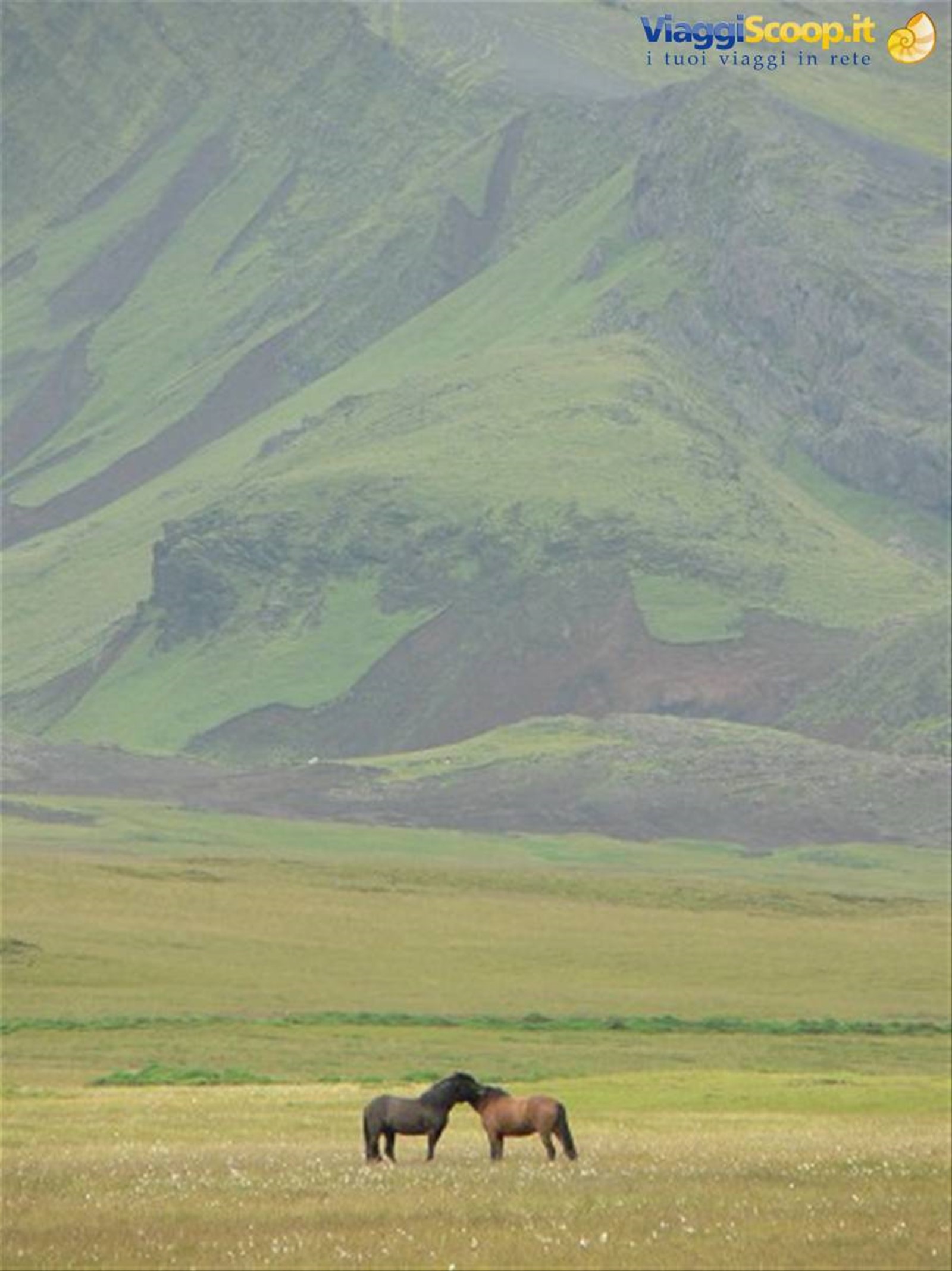 Vik
