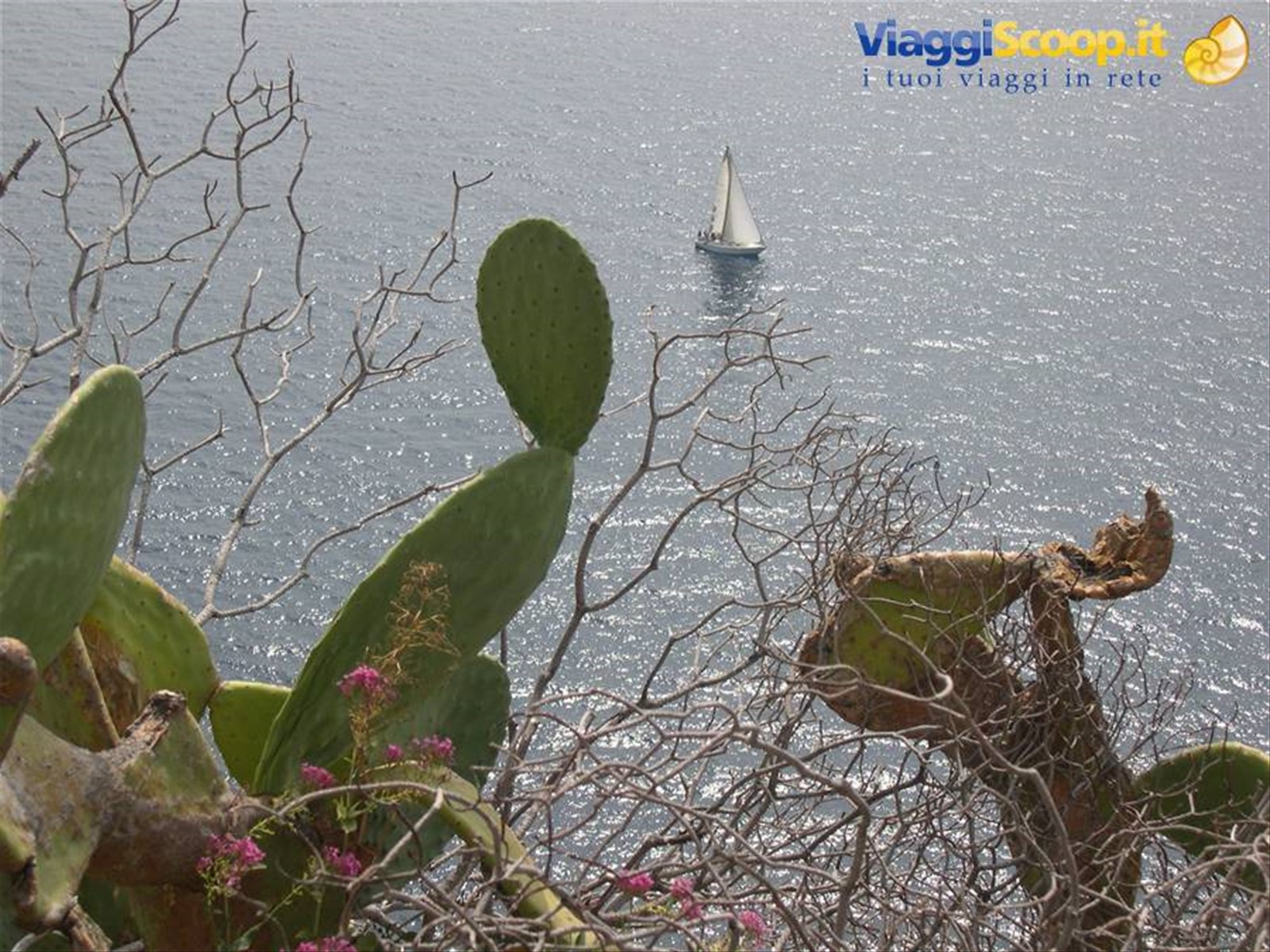 BARCA A VELA DAVANTI LA COSTA
