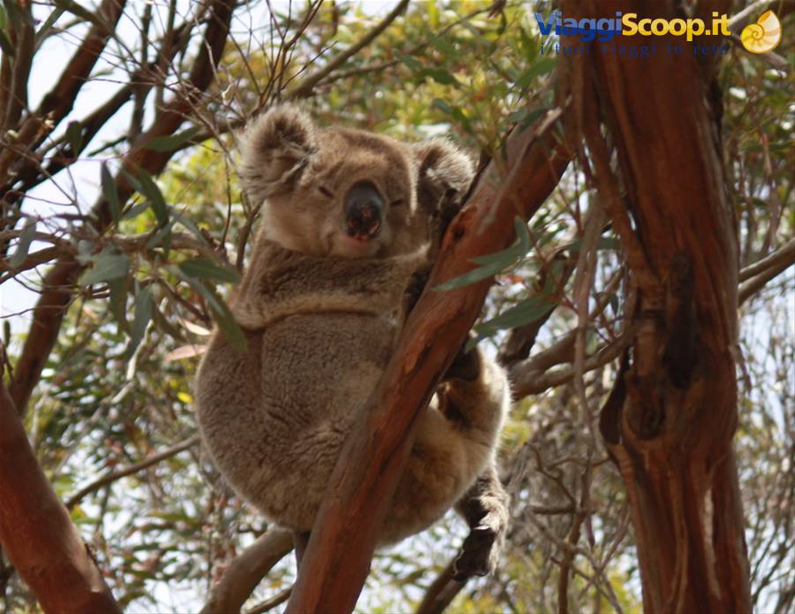 Kangaroo Island