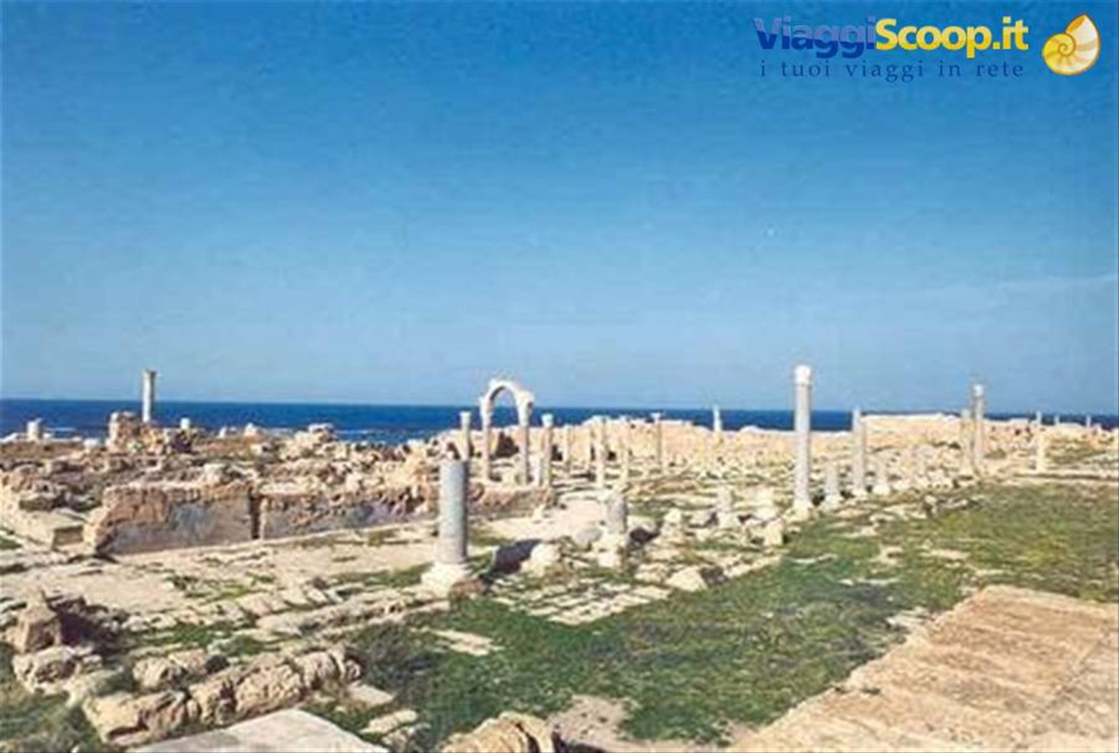 ROVINE