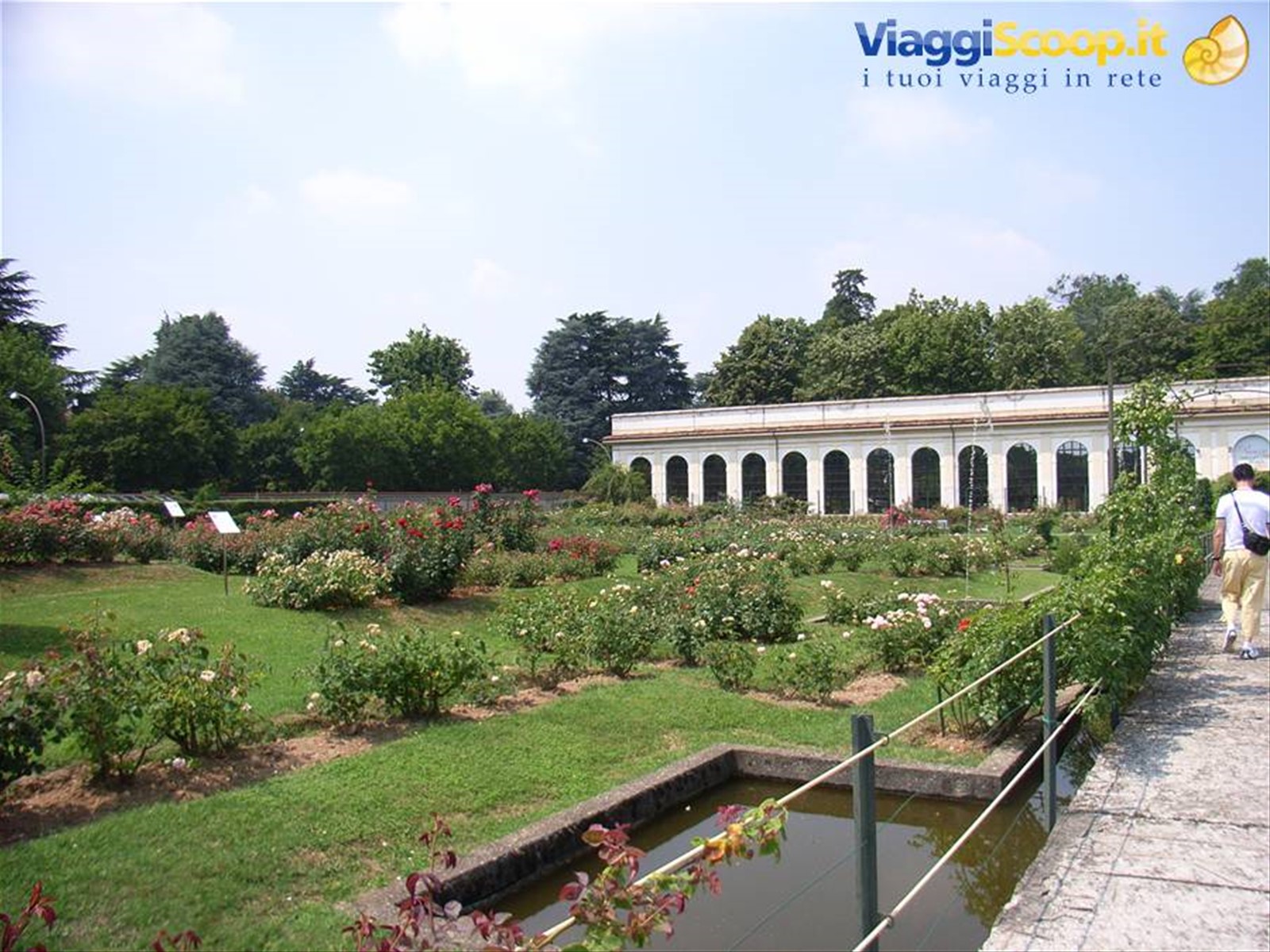 SERRONE DELLA VILLA REALE - MONZA