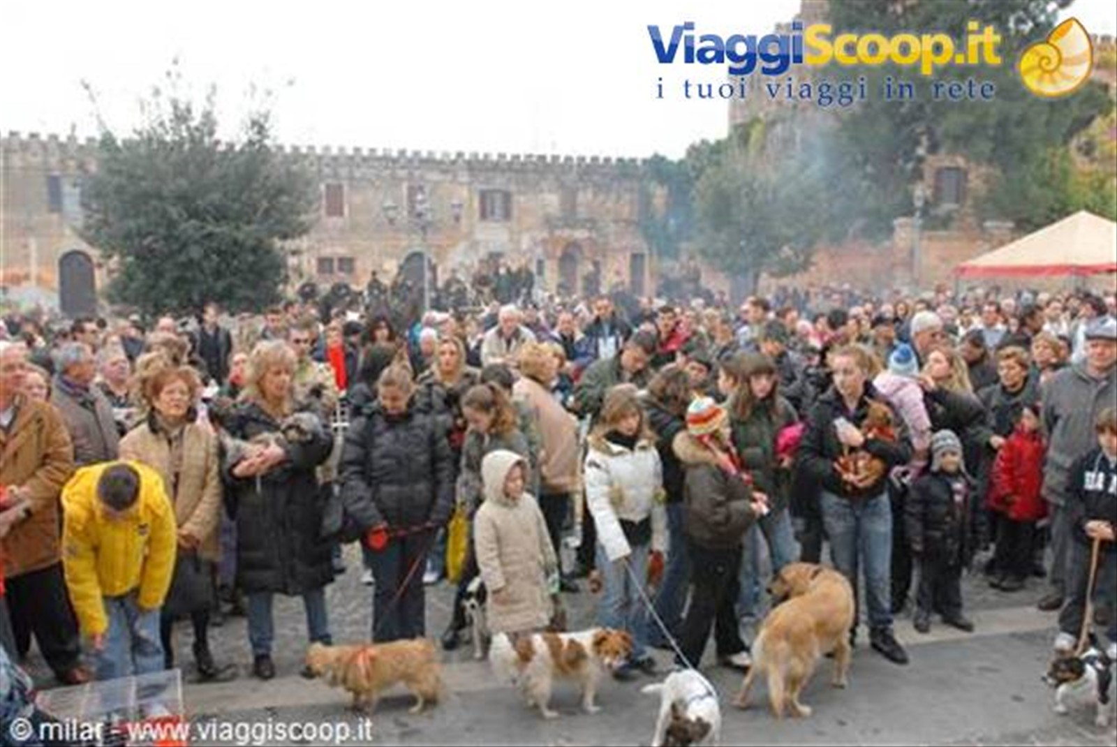 benedizione degli animali